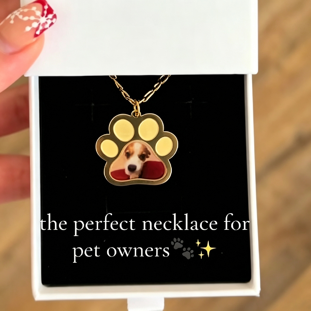 Personalized Pet Paw Colors Pr - Pet Portrait Custom review and price