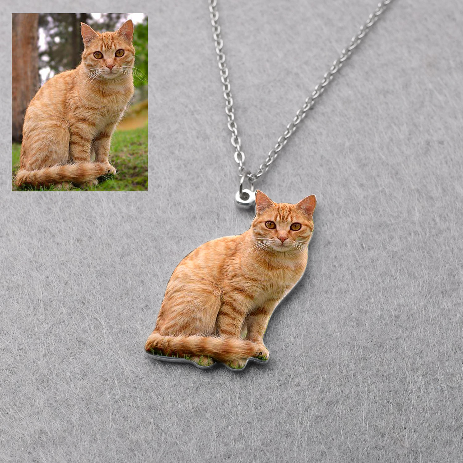 Personalized Pet Picture Neckl - Pet Portrait Custom review and price